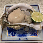 日本料理 とくを - 岩牡蠣