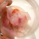 チッタ アルタ - 