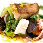 チッタ アルタ - 