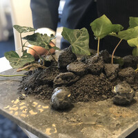 クイントカント - 