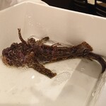 禅紫 - 生きたおこぜ