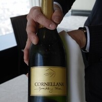 サンシャイン クルーズ・クルーズ - 