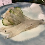 第三春美鮨 - 白魚　特大　刺し網漁　島根県宍道湖