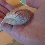 鮨 なんば - 春子