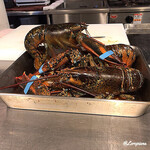 リナシメント - 活けのｵﾏｰﾙ海老