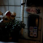 桃ねこ - 