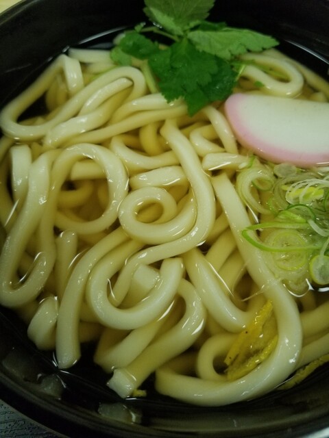 閉店 山田うどん食堂 五反田toc店 大崎広小路 うどん 食べログ