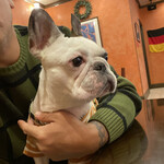 キッツビュール - 