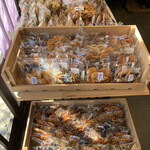 信州手焼せんべい本舗 - 色々