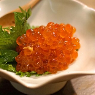 石臼挽き手打ち蕎麦 高はし_1