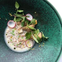 温菜　スペルト小麦とリードヴォーのリゾット　七草粥仕立て