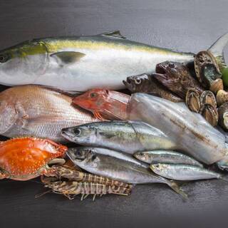 汐彩割烹 よっちゃん_1