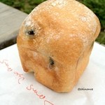 ダンディゾン - カノコノワール