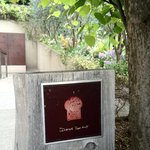 ダンディゾン - 