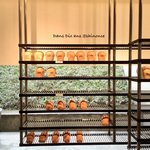 ダンディゾン - 