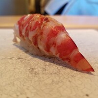 鮨 なんば 日比谷 - 車海老　38℃/38℃　　舎利の温度/種の温度