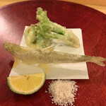 Kappou Ichika - ワカサギとタラの芽と芽キャベツの天ぷら 一楓の天ぷら大好き。塩で。これも春の食材。