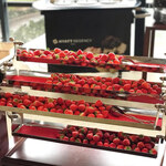 ロビー・ラウンジ - 