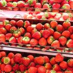 ロビー・ラウンジ - 