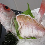 創作料理 さいかち - 