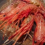 居酒屋　純ちゃん - 