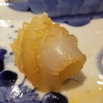 馳走 啐啄一十  - (15)障泥烏賊(アオリイカ)(静岡県駿河湾産、サスエ前田魚店、8日熟成)
      産卵期は春～初夏、旬は初春～夏。
      8日熟成の旨みがネットリとした食感と共に優しく香り豊かに口腔内に拡がります。