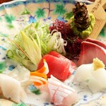 Tsunemasa - 鮮魚のお造り