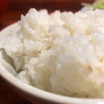 Gyuutan Hachi - 麦飯