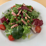 ピッツェリア トニーノ - 