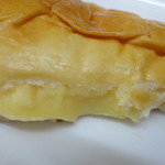 キャパトル - 断面