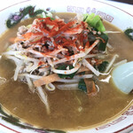 もやしらーめん みちのく - 辛みそらーめん