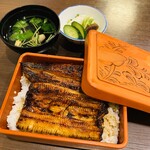 Unagi Nakaya - 