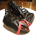 リストランテ ネグラマーロ - 最高級　フランスブルターニュ産活オマール海老