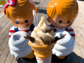 諏訪湖観光汽船 売店 - バッタソフトとソフトクリームの人形