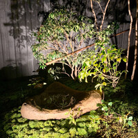 炭焼きうなぎ・かしわ 登河 - 