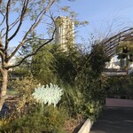 Little Darling Coffee Roasters - 