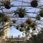 Little Darling Coffee Roasters - 