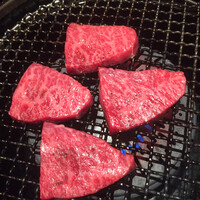 niku no OTO - 