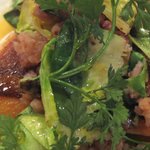 アルピーノ - (09/3)ホウボウを接写