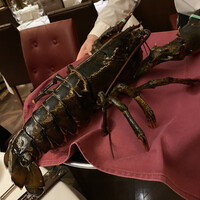 ベンジャミンステーキハウス 六本木 - 