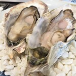 OYSTERBAR SHELL&SHRIMP - 長崎県雲仙産　焼き牡蠣