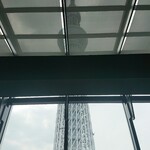 天空LOUNGE TOP of TREE - 31階からのロケーション