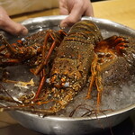 日本料理 晴山 - 