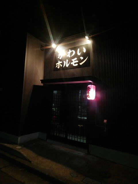 川井ホルモン焼肉店 - 広田（ホルモン）