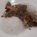 セルサルサーレ - 