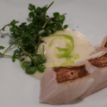 セルサルサーレ - 