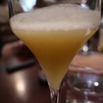 セルサルサーレ - 