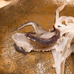 うを徳 - 下田 やりいかの刺身