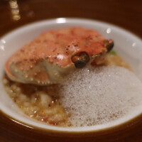 セルサルサーレ - 