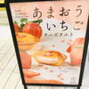 BAKE CHEESE TART サクラマチ熊本店